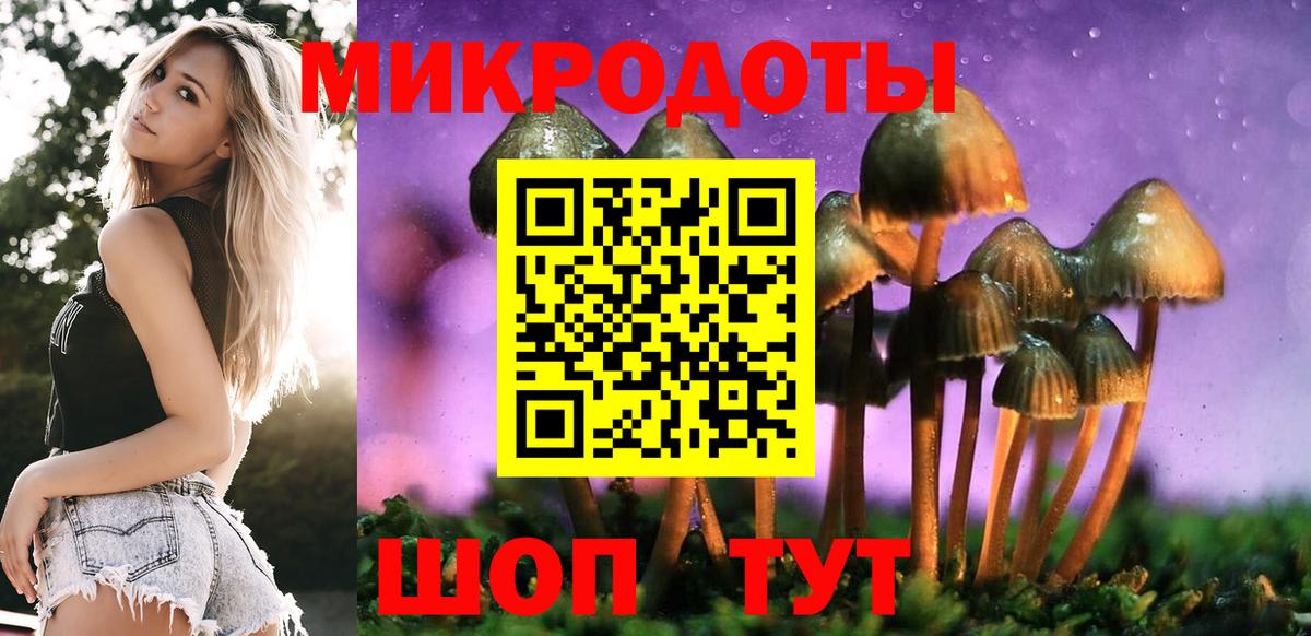 Галлюциногенные грибы Cubensis Воронеж